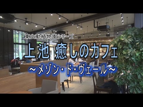 東山動植物園シリーズ「上池 癒しのカフェ～メゾン・ド・ヴェール～」