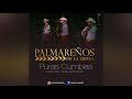 Palmareños De La Sierra - Puras Pa Bailar [100% SIERREÑOS] [DISCO COMPLETO] 2019 - ¡ESTRENO!