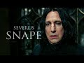 Severus Snape Memories