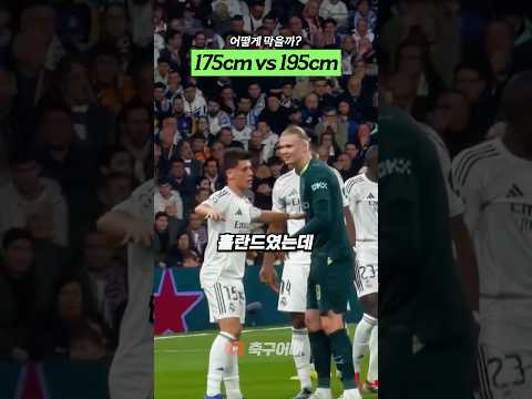 홀란드를 막아보겠습니다...