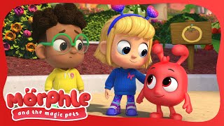 Who's Taken the Veg? | Morphle and the Magic Pets | Cool Kids Cartoon | BRAND NEW