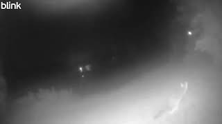 Coyote 2025 09 14
