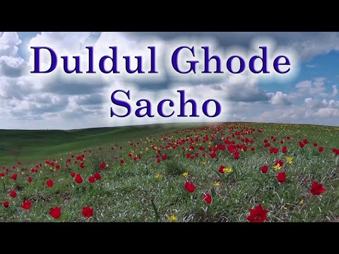 Duldul Ghode Sacho Sami Rajo Chadshe (selected verses) - Shahid Barkat Ali
