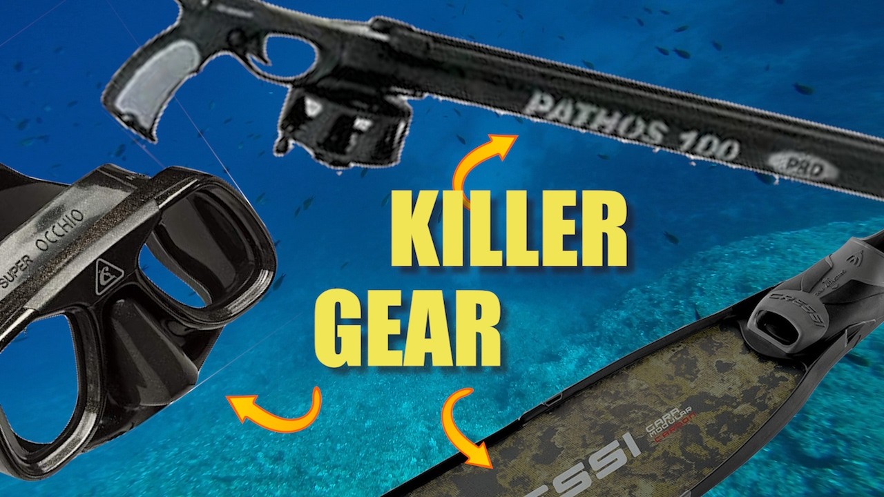 Freediving Setup Every Sailor Needs for Fishing!