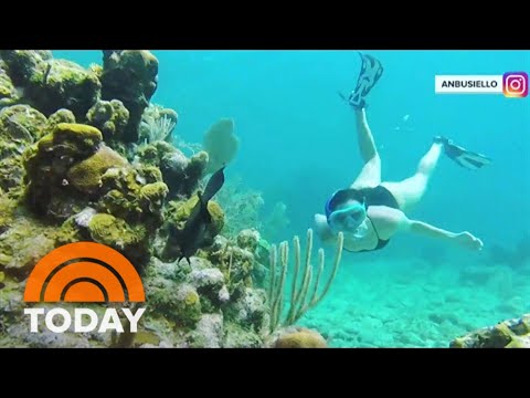 Tour Honduras’ Paradise Island Of Roatán