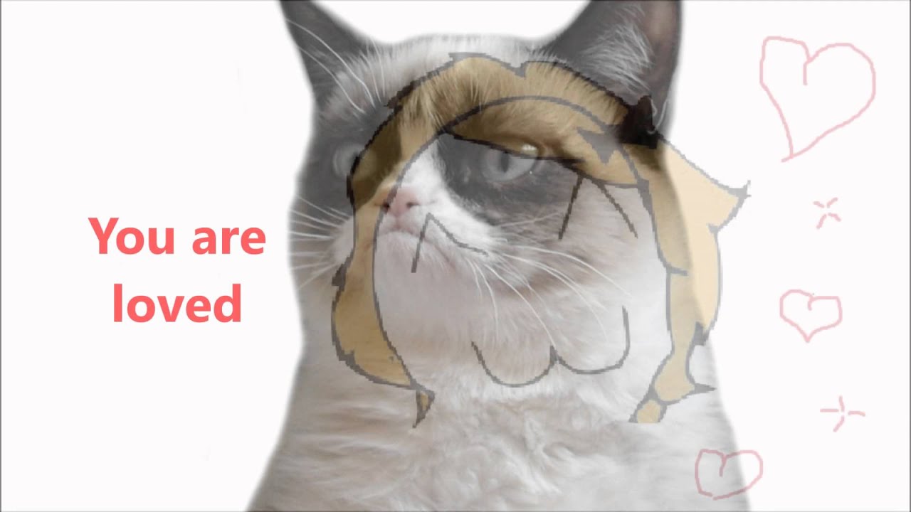 9gag meme - Crumpy Cat