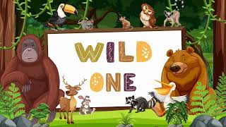 Wild One Birthday - Jungle Screensaver - Wild One - Jungle Wallpaper - HD - 1HR