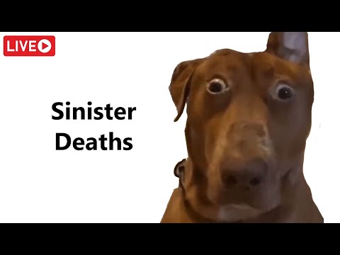 🔴 Learning EoD 🔴 Sinister Silence 100%  🔴 Stream (9/365) 🔴