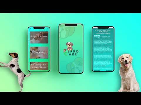 Dog App Design | UX/UI | Wireframe | Prototype | Beginner 2022