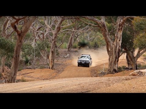Kangaroo Island Hire a Guide & Nocturnal Tours