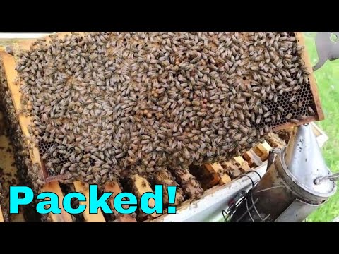 🔵Swarm Control by Checkerboarding & a Pull Back