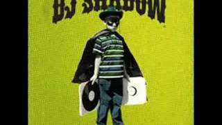 Dj Shadow - Hindsight