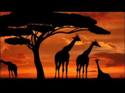 DANZA TRIBALE -canta LUCIA BUI- autori : Bui Lucia - Del Sarto - Borasio -