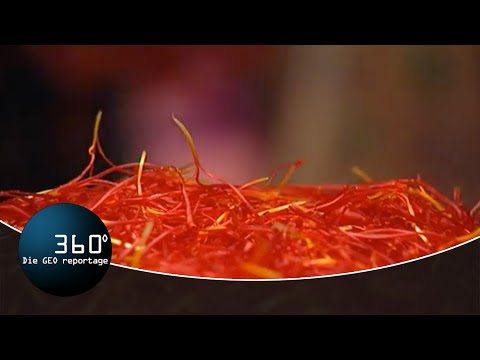 Safran, das teuerste Gewürz der Welt - Ein blühendes Geschäft