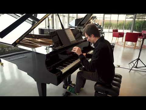 PIANO DEMO: Petrof 284 Mistral - Farewell