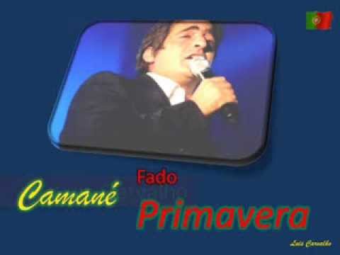 Camané   Fado da Primavera