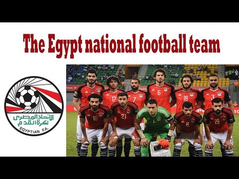 World Cup Team Profile: Egypt | egypt national football team | EGYPT FIFA WORLD CUP