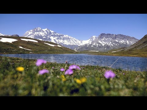 Entre Cascades et Lacs - Randonnée en Haute-Maurienne Vanoise