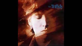 1-9-The Triffids-Vagabond Holes