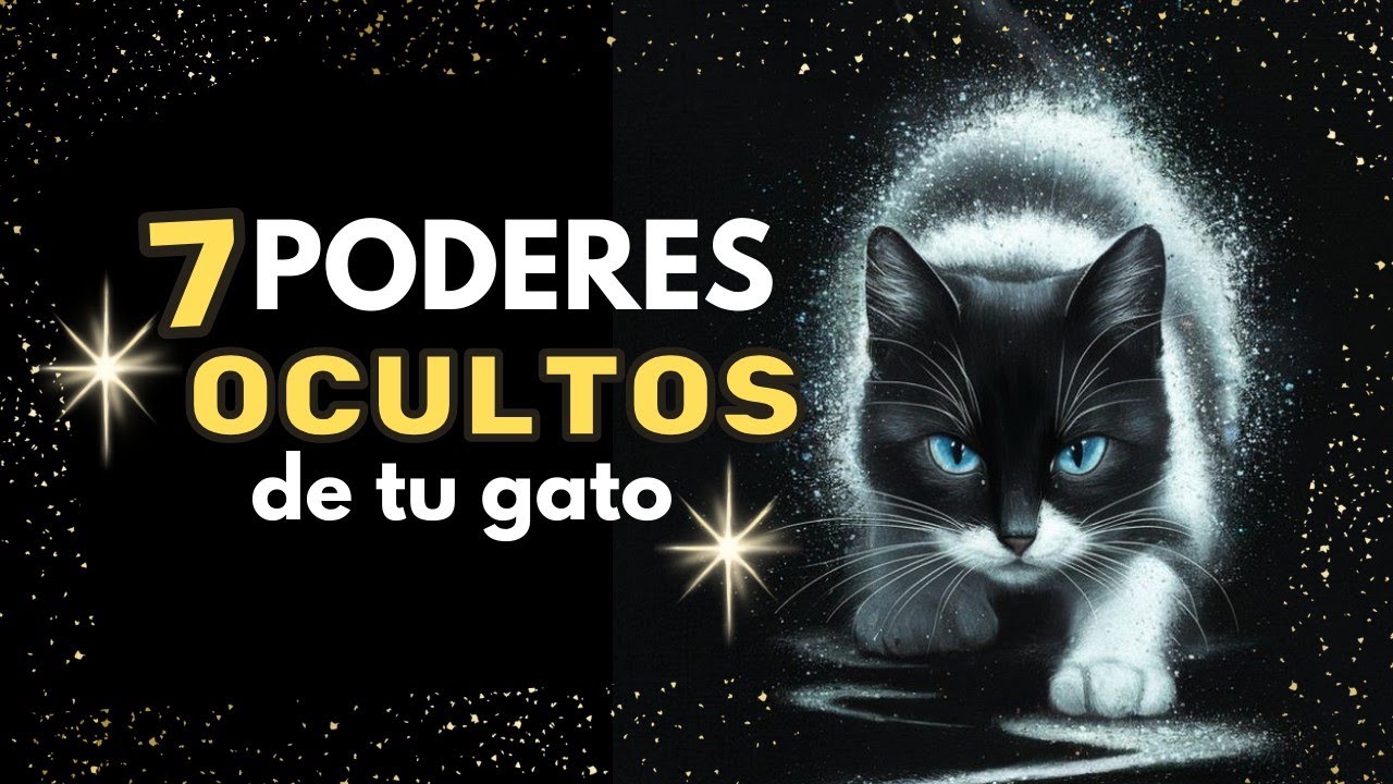 🙀 DIOS te mandó un GATO por esta RAZÓN|•7 PODERES OCULTOS 🧐🔮