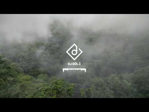 DJ GOL2 - MAHUA JHARE |CG REMIX| DJ GOL2
