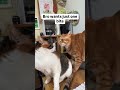 Bro Wants Just One Bite