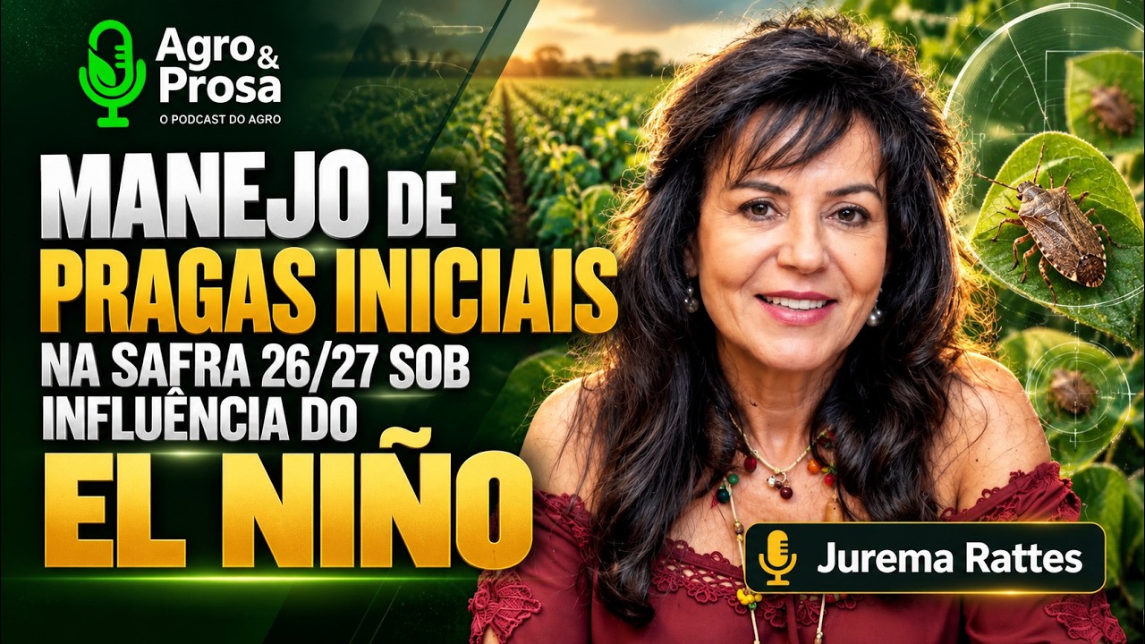 Pragas iniciais ameaçam o estande da soja na safra 26/27