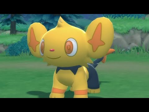 5 Shinx Shiny di Fila su Pokèmon Diamante Lucente[Pokèradar]