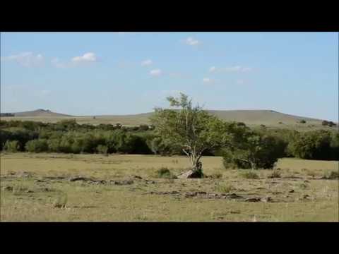 Cerros y montes del Río Queguay, Paysandú, enero 2018