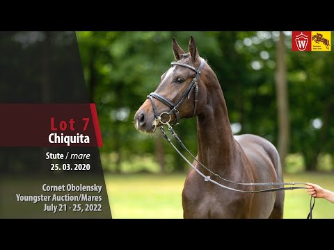 Cornet Obolensky Youngster Auction Lot 7 Chiquita Stute v. Cornet Obolensky - Lancer III