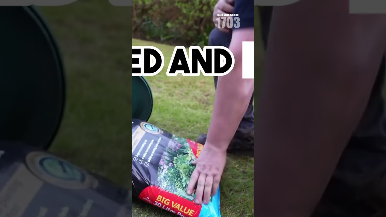 Revive Your Lawn: Fix Winter Kill Fast!