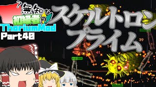 【ゆっくり実況】無知な初級者のThorium Mod Part40【Terraria】