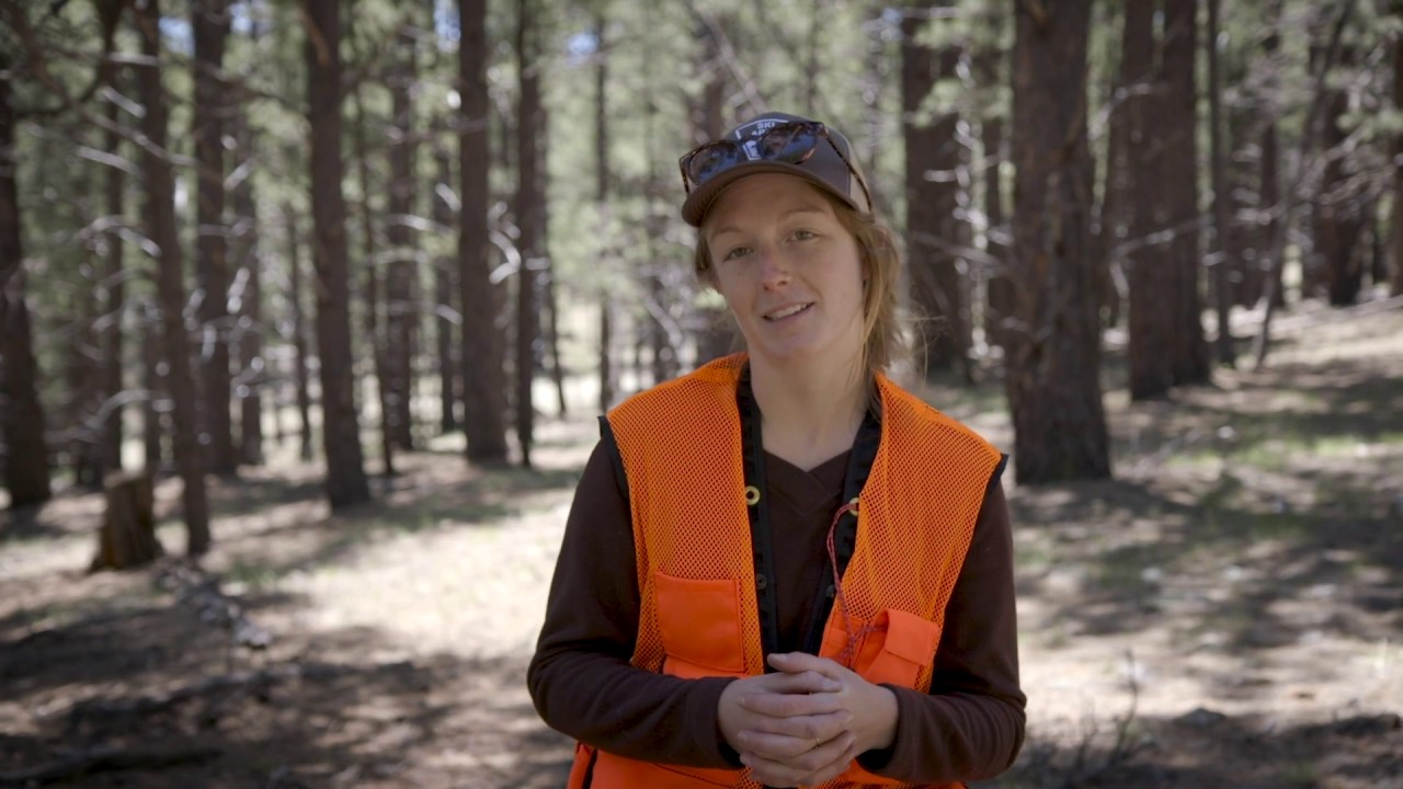 BS in Environmental Sciences