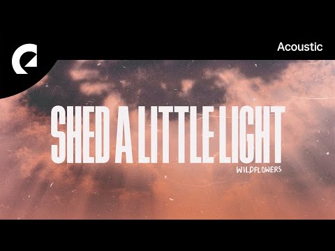 Wildflowers - Shed A Little Light