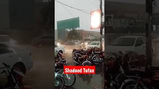 Download lagu shadeed Tofan #shorts #shortsfeed #youtubeshorts #vlog mp3