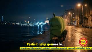 Dert bende, derman ŞOK’ta! 🍅🫑🍊