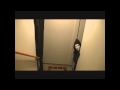 Trial of Leaves - Marked Man 