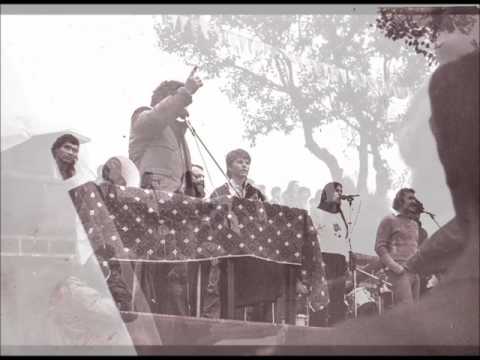 Vasile Şeicaru - Iancu la Ţebea