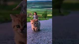 Super Cute Animals🐈🐱 #Trending #Funny #Viral #Tiktok #Shorts #抖音 #Douyin #Tictoc #Animal #cat #cats