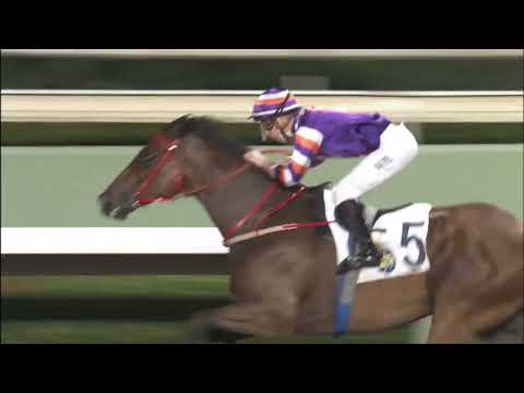 30/3/2022 (540) Crown Avenue - B Shinn