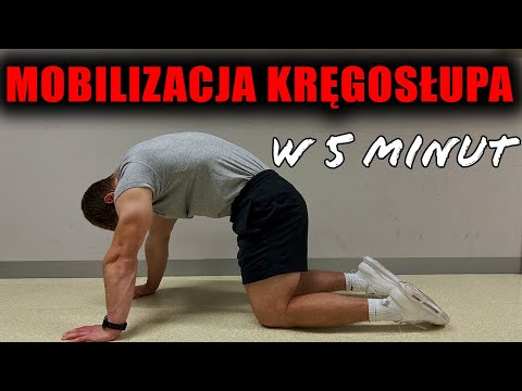 Ćwiczenia na sprawny i zdrowy kręgosłup (rozciąganie, mobilność i stabilność)