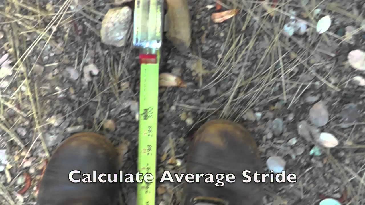 Calcuate Average Stride