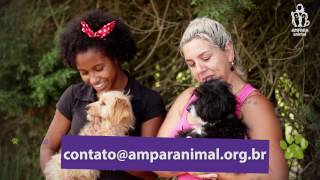 Castrar é um ato de amor!