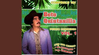 El Cocoliso Lyrics English Translation