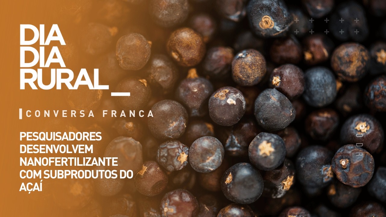 Pesquisadores desenvolvem nanofertilizante com subprodutos do açaí
