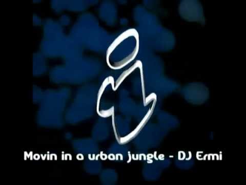 Willing Flower - DJ Ermi