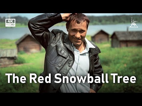 The Red Snowball Tree | DRAMA | FULL MOVIE