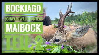 Passt der Bock? | Bockjagd mit TTA-Jagdreisen Teil 2 | Schwarzwaldhunters | Maibock | Roebuck hunt