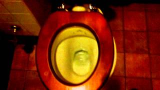 preview picture of video 'Coombe Abbey Disabled Toilet,THE IMPERIAL,With HL Ceramic Cistern'