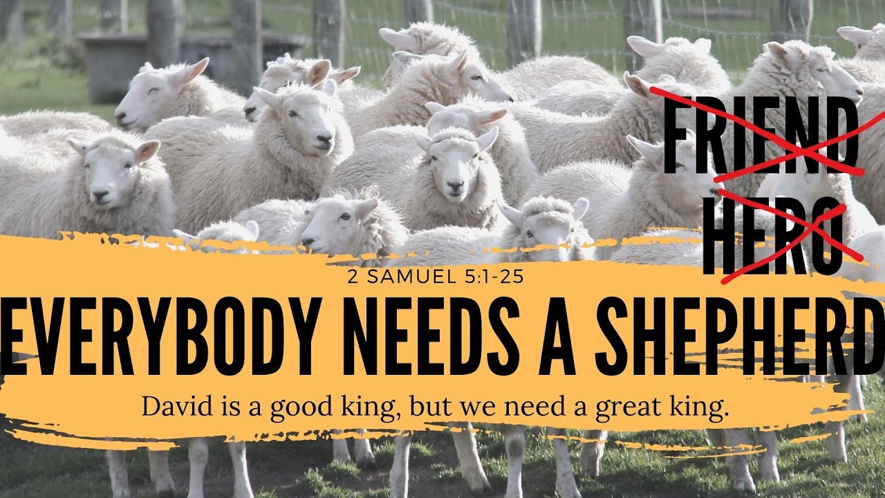 Everybody needs a shepherd - 2 Samuel 5:1-25